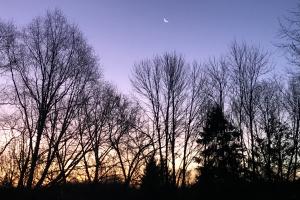 Appalachian trees as sunset